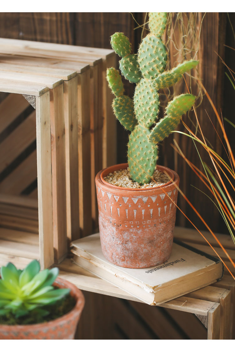 Pots en terre cuite vintage